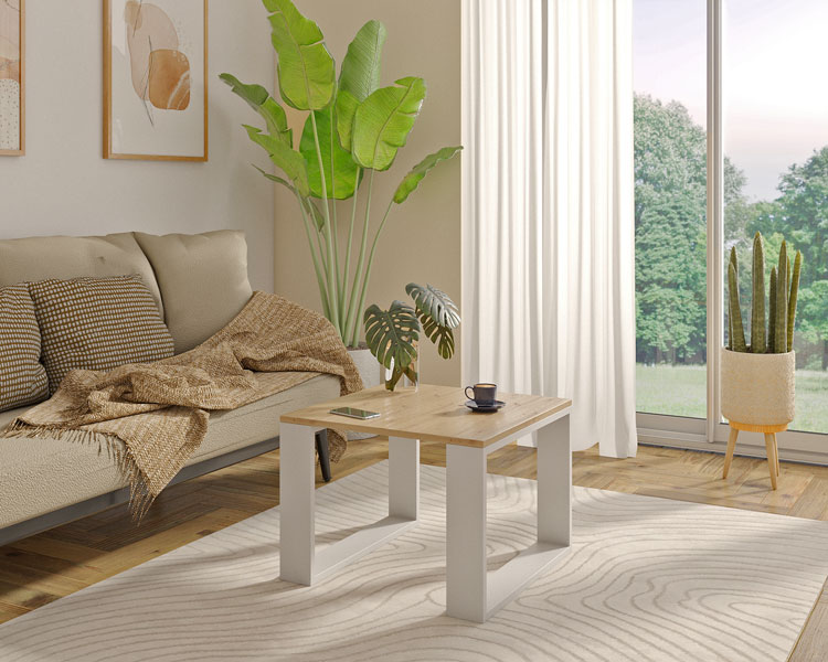 Minimalistyczna ława do salonu artisan+biały Juna 5X