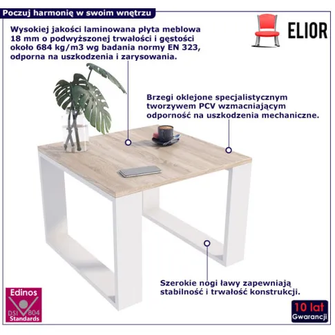 Skandynawski stolik kawowy do salonu Juna 5X