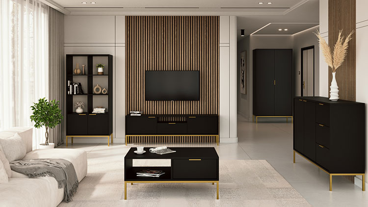 Prezentacja szafki RTV 135cm Pascal 5X czarny+złoty