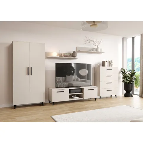 Wizualizacja  wnętrza z meblami Pura