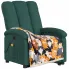 zielony fotel z masażem rosani