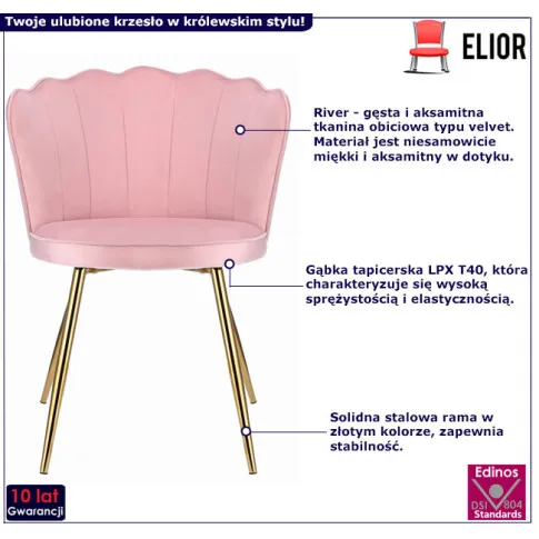 Fotografia Różowe tapicerowane krzesło na złotych nogach - Ria z kategorii Krzesła tapicerowane