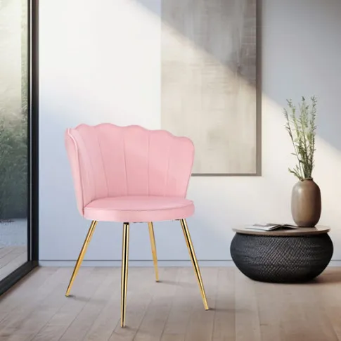Zdjęcie welurowe krzesło do salonu Ria | Edinos.pl
