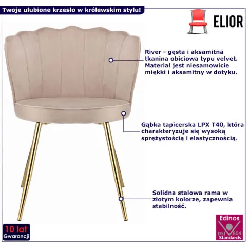 Fotografia Beżowe krzesło tapicerowane welurowe - Ria z kategorii Krzesła tapicerowane