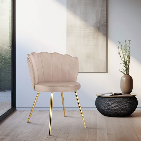 Prezentacja beżowego krzesła Ria