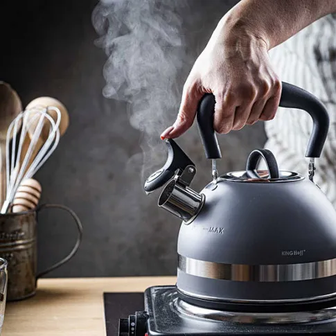 Prezentacja szarego czajnika z gwizdkiem Sefrus 3X