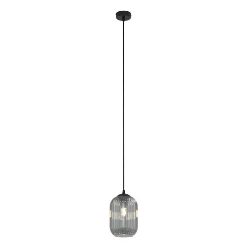 Loftowa lampa wisząca D161-Cavisa