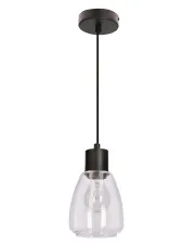 Nowoczesna lampa wisząca w stylu loftowym bezbarwna - D202-Eoso w sklepie Edinos.pl