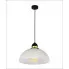 Elegancka wiszaca lampa trofo M50 w ramce