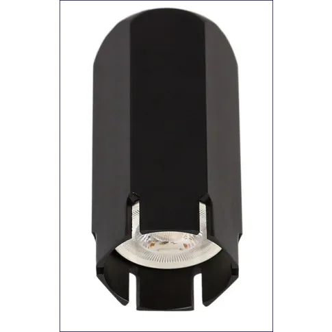 Czarna loftowa lampa sufitowa D257 Zebrix
