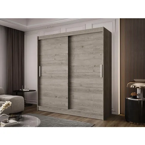 Wizualizacja wnętrza z szafą Area 3X trfla