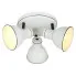 plafon sufitowy M114 Ortalis