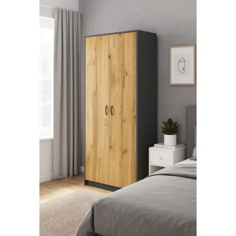 wizualizacja szafy Perota