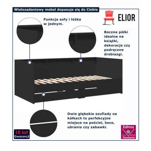 infografika czarnego łozka lenomi