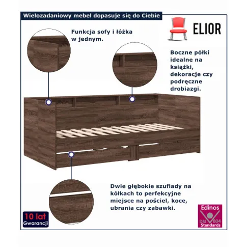 infografika lozka lenomi brazowy dab
