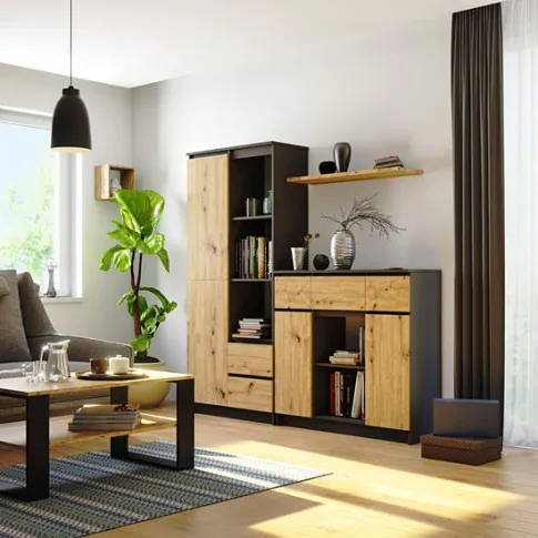 Wizualizacja komody grafit   artisan do salonu  Nuvo