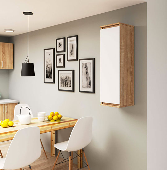 Wizualizacja szafki wiszącej Elva