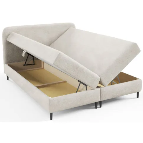 Podwójny pojemnik w łóżku Tionis