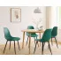 Salon z zielonym krzesłem metalowym Exin 4X