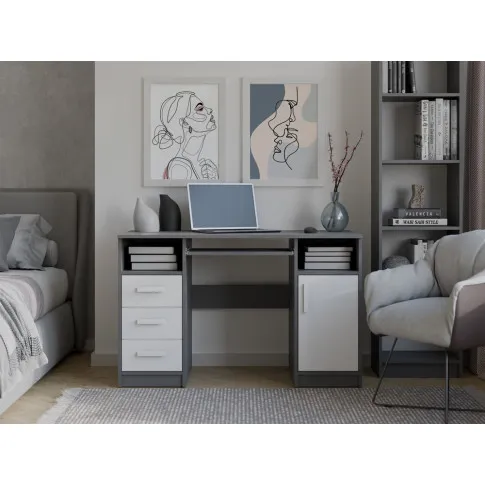 aranzacja biura z biurkiem