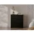 Wnętrze z czarna komodą Felicco 3X