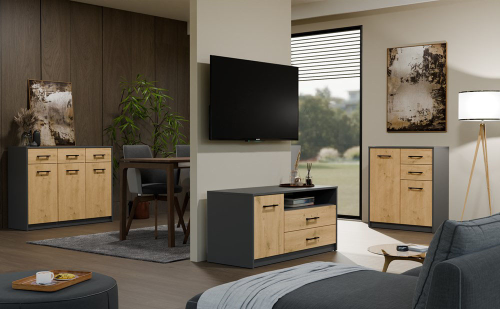 wizualizacja szafki rtv