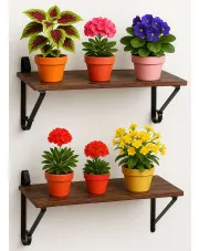 Komplet 2 brązowych półek wiszących na kwiaty - Hirtis w sklepie Edinos.pl