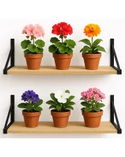 2 półki ścienne na kwiaty dąb sonoma 80 cm - Sarea w sklepie Edinos.pl