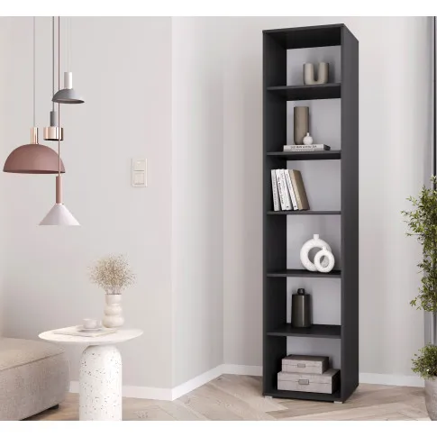 Salon z czarnym regałem Aneris 4X