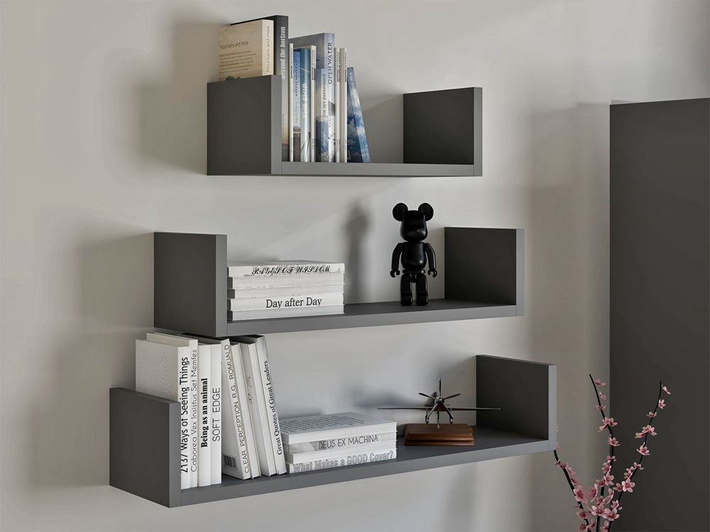 wizualizacja wnetrza z półkami