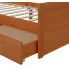 Szczegółowe zdjęcie nr 8 produktu Drewniane łóżko z szufladami miodowy brąz 90x200 - Kamos
