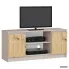 Zdjęcie produktu KOMODA RTV K120 2D 1P CLP KASZMIR / DĄB ARTISAN.