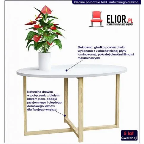 Fotografia Skandynawski stolik kawowy Kizo L3 z kategorii Salon