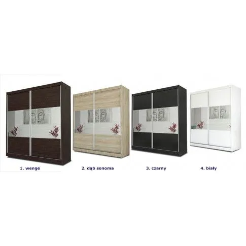 Szczegółowe zdjęcie nr 5 produktu Szafa przesuwna Alicanti - wenge