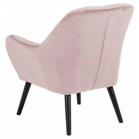 Zdjęcie welurowy fotel Halu różowy designerski | Edinos.pl