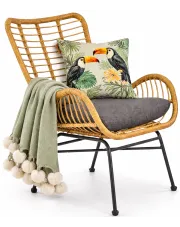 Rattanowy fotel do pokoju - Jetrus w sklepie Edinos.pl