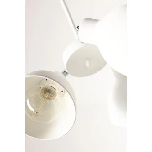 Fotografia Industrialny żyrandol E233-Cossaco - biały z kategorii Żyrandole