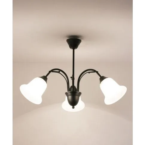 Fotografia Żyrandol w stylu klasycznym E262-Baros - czarny z kategorii Żyrandole