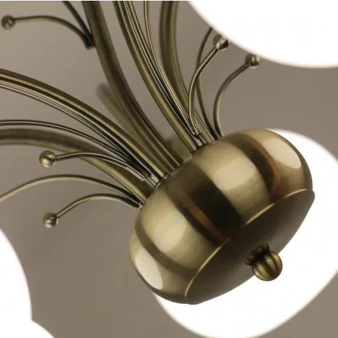 Zdjęcie szklany żyrandol do kuchni E288-Larix | Edinos.pl