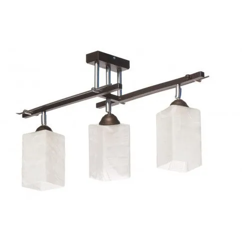 Fotografia Lampa sufitowa do przedpokoju E363-Jotun z kategorii Lampy sufitowe