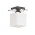Minimalistyczna lampa sufitowa E389-Flox - popiel w sklepie Edinos.pl