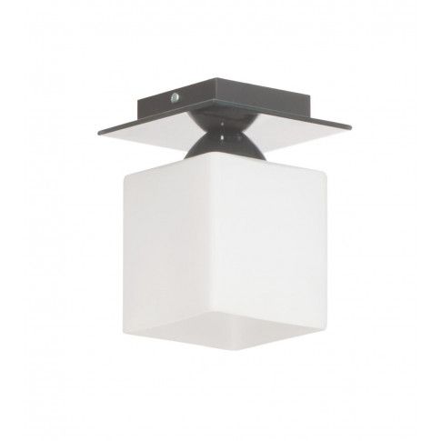 Zdjęcie produktu Minimalistyczna lampa sufitowa E389-Flox - popiel.