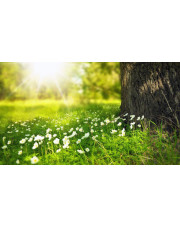 Przestrzeń niosąca nadzieję