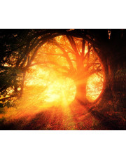 Światło to metafora życia, które mimo trudności zawsze triumfuje