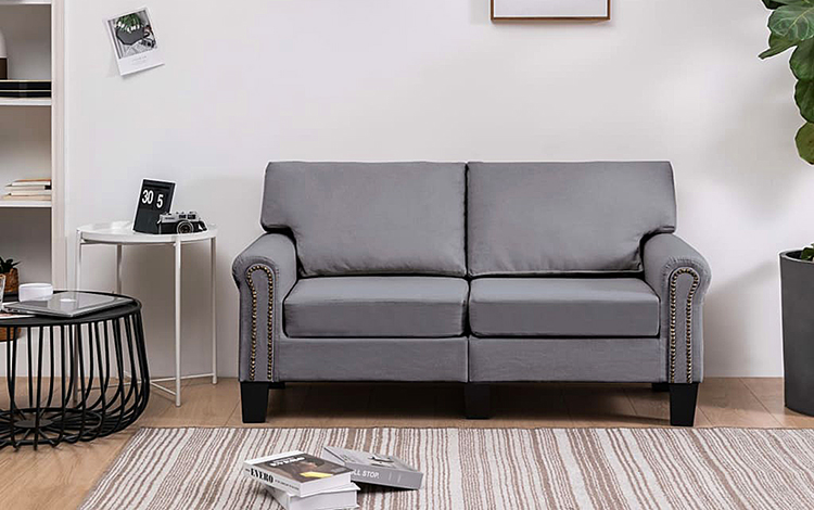 Dwuosobowa jasnoszara sofa Dionas 2X