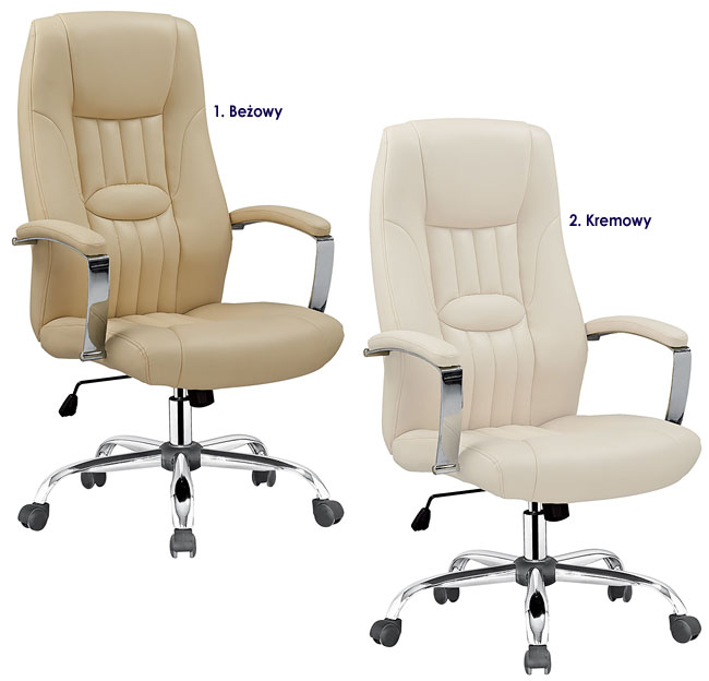 fotel obrotowy do komputera biurka gabinetu Ilia