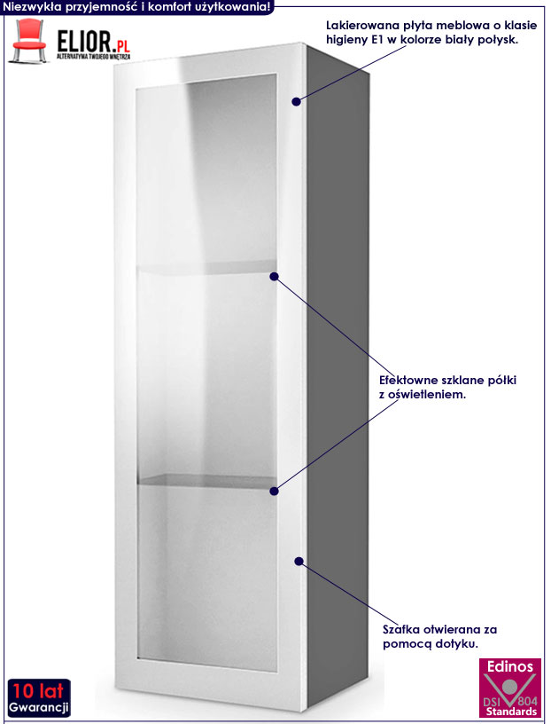 Wisząca witryna z oświetleniem biało-popielata Vitoria 10X